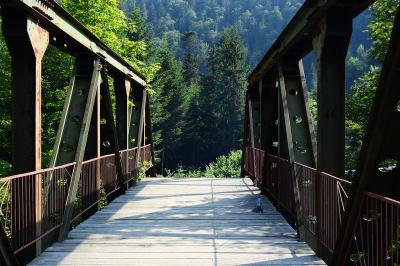 Прикрепленное изображение: DSC_0110_.jpg